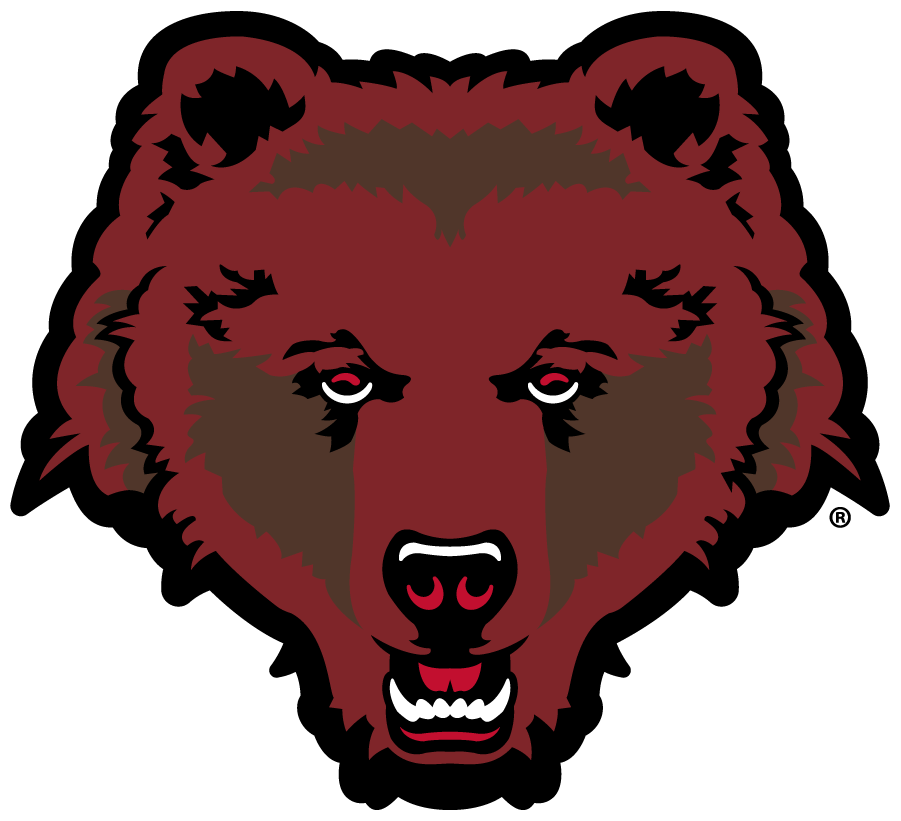 Brown Bears 2018-Pres Alternate Logo diy iron on heat transfer